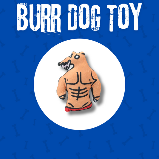 Burr - Wave 1 Dog Toy - Hyuck