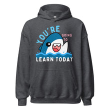 Load image into Gallery viewer, Shoujo - Unisex Hoodie - You&#39;re Going To Learn Today
