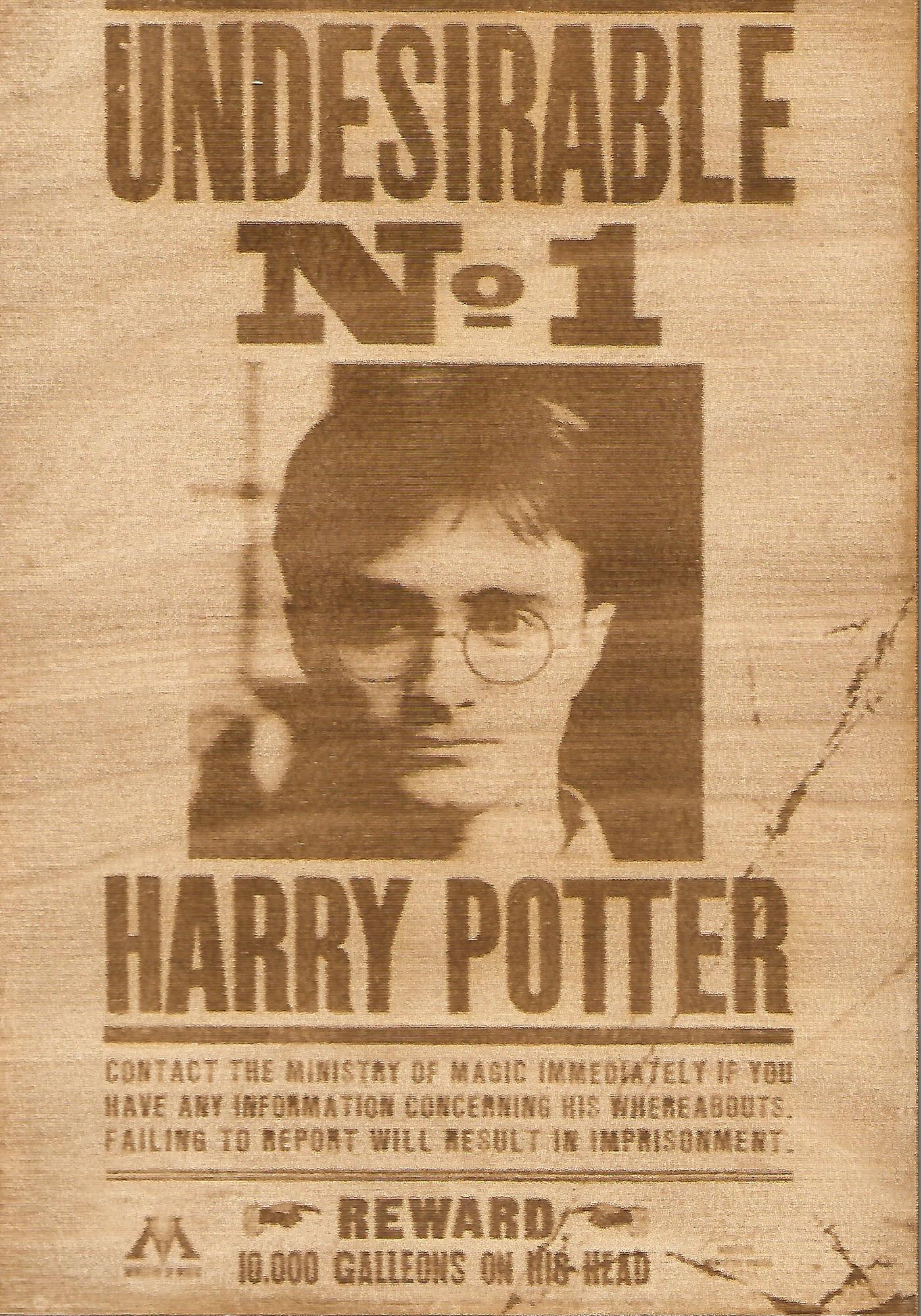 Harry Potter - Harry Potter (Undesirable No. 1) Wooden Wanted Poster - TantrumCollectibles.com